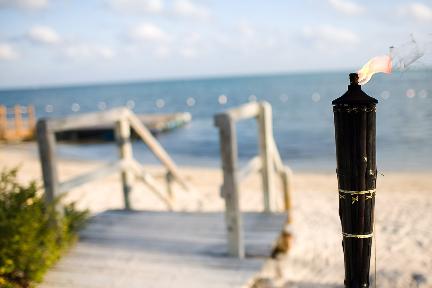 beach wedding site