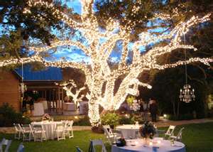 wedding tree