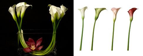 wedding flower arragements
